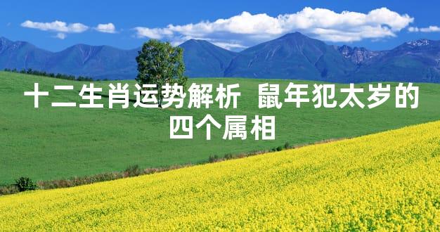 十二生肖运势解析  鼠年犯太岁的四个属相